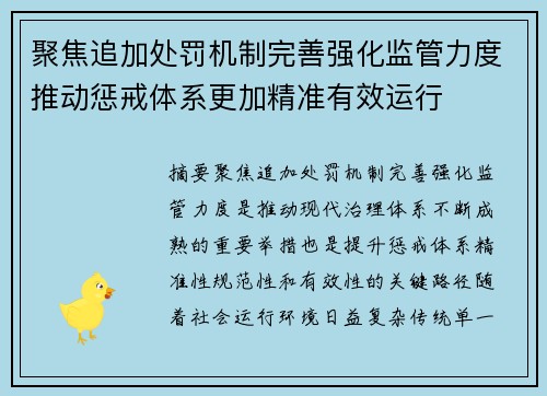 聚焦追加处罚机制完善强化监管力度推动惩戒体系更加精准有效运行
